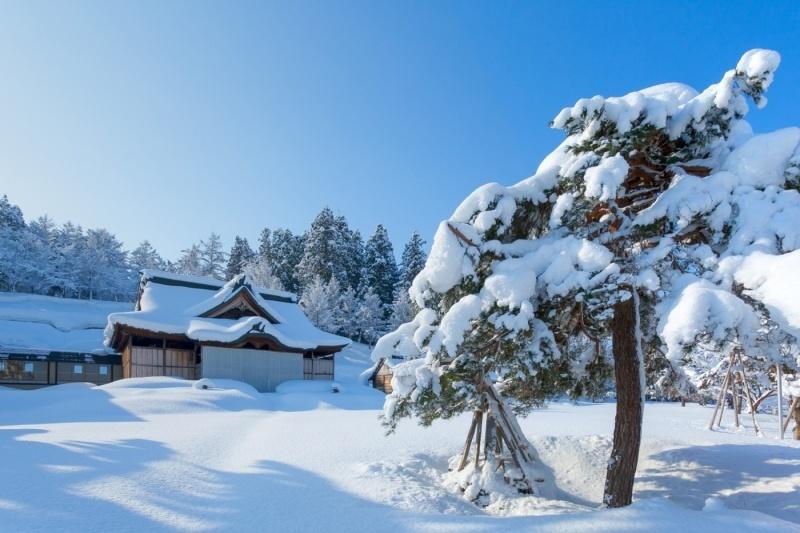 あたり一面に雪が多く積った神社と松の木にたくさん積もった写真