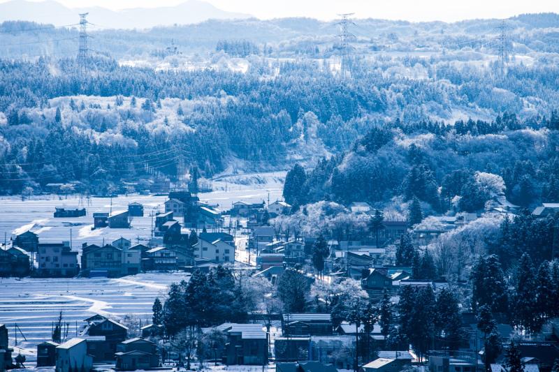 朝日で積もった雪が淡い青い色になっている住宅地や森林の風景写真