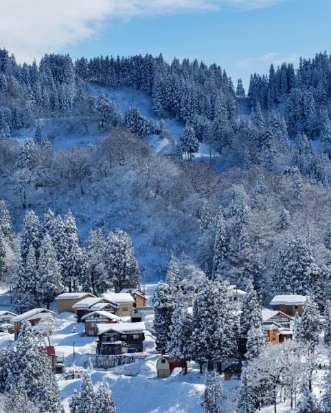 住宅街の屋根に雪が積もった様子と雪化粧になっている森林の風景写真