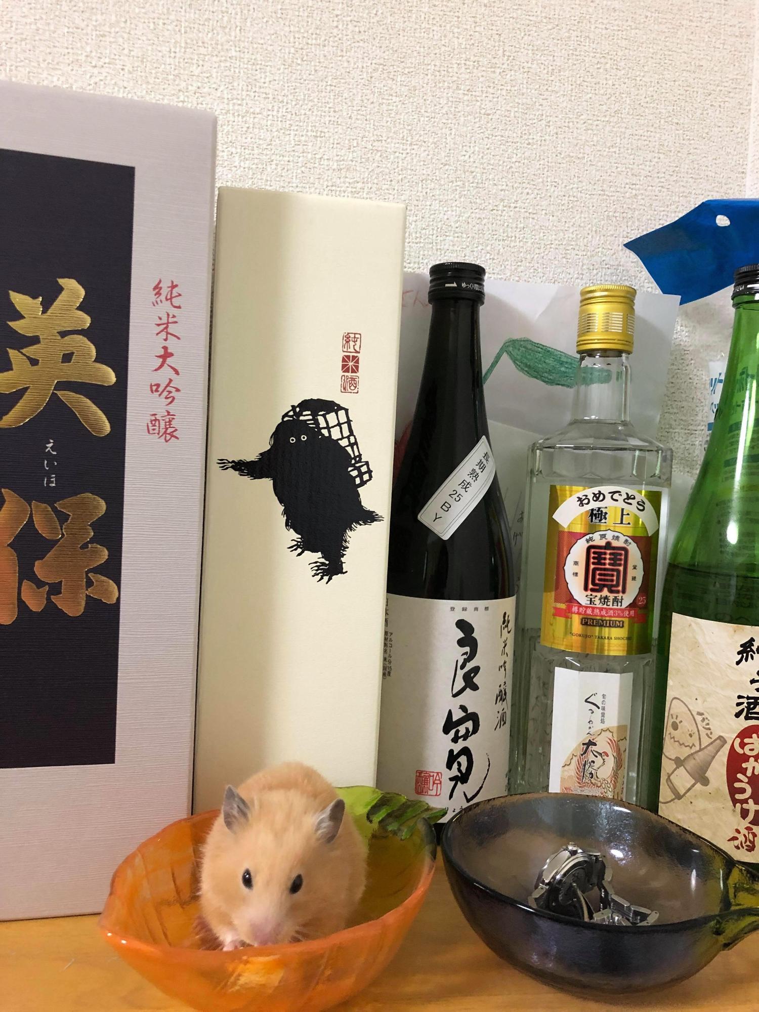 白い壁を背景に、日本酒や焼酎などお酒の箱や瓶が合わせて5つ並んでおり、その前にハムスターの入ったオレンジ色のお椀と腕時計が入った黒いお椀が並んで置かれている写真