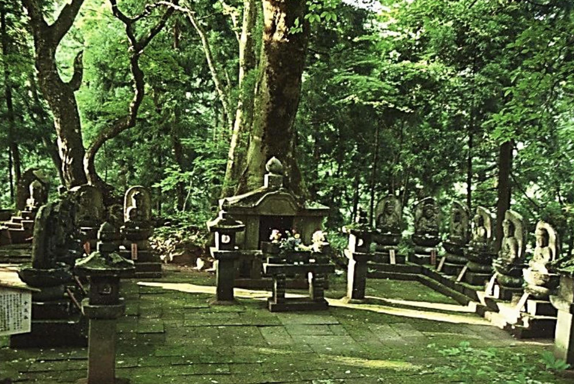 写真いっぱいに広がっている、苔むしたような緑の木々の景色。中央には石の祠の建造物があり、周りを囲むようにして鉢の台座に座る石仏のある境内の写真