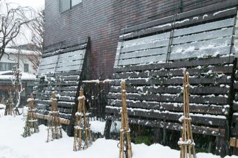 積もる雪から1階のガラスを守るために設置されている雪囲の様子の写真