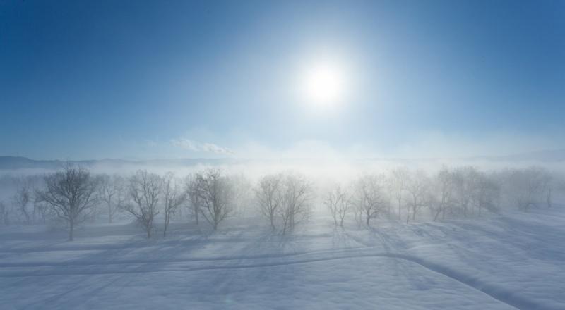 太陽が上る青い空の下の木々が雪化粧を纏っている風景写真