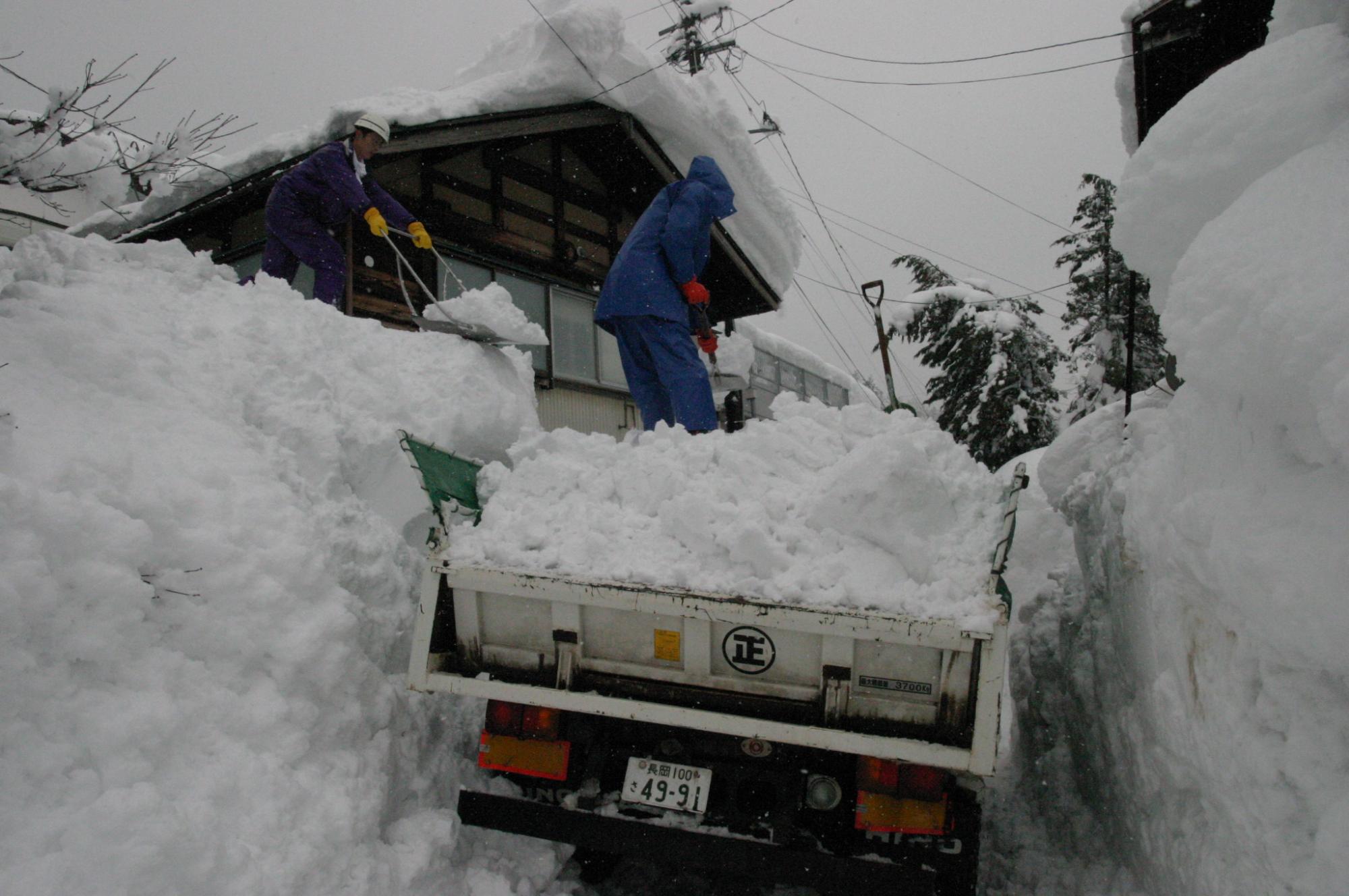 屋根などに積もった雪をトラックに積んでいる様子