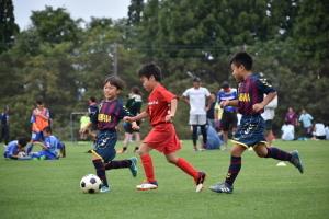 ユニフォームを着た子供たちがサッカーを楽しんでいる写真