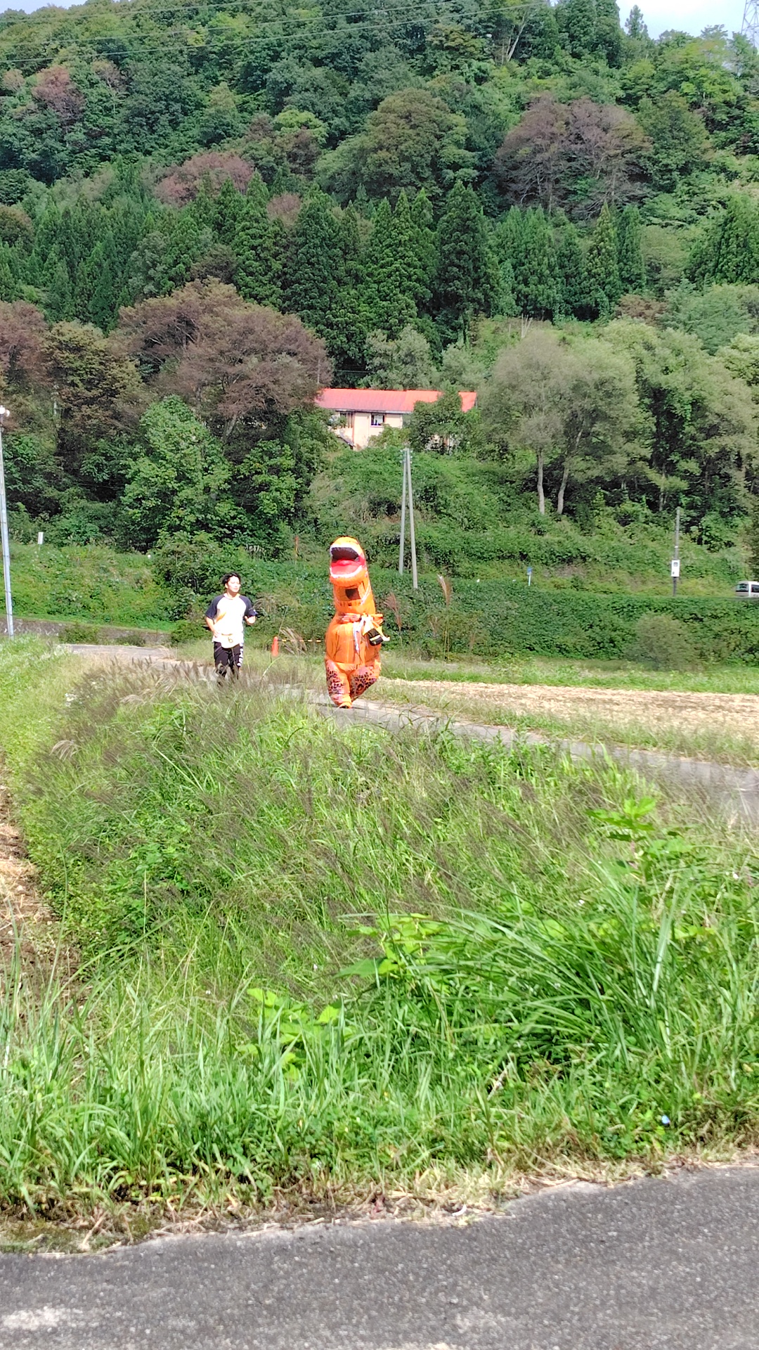 ティラノサウルスの仮装をして走る選手
