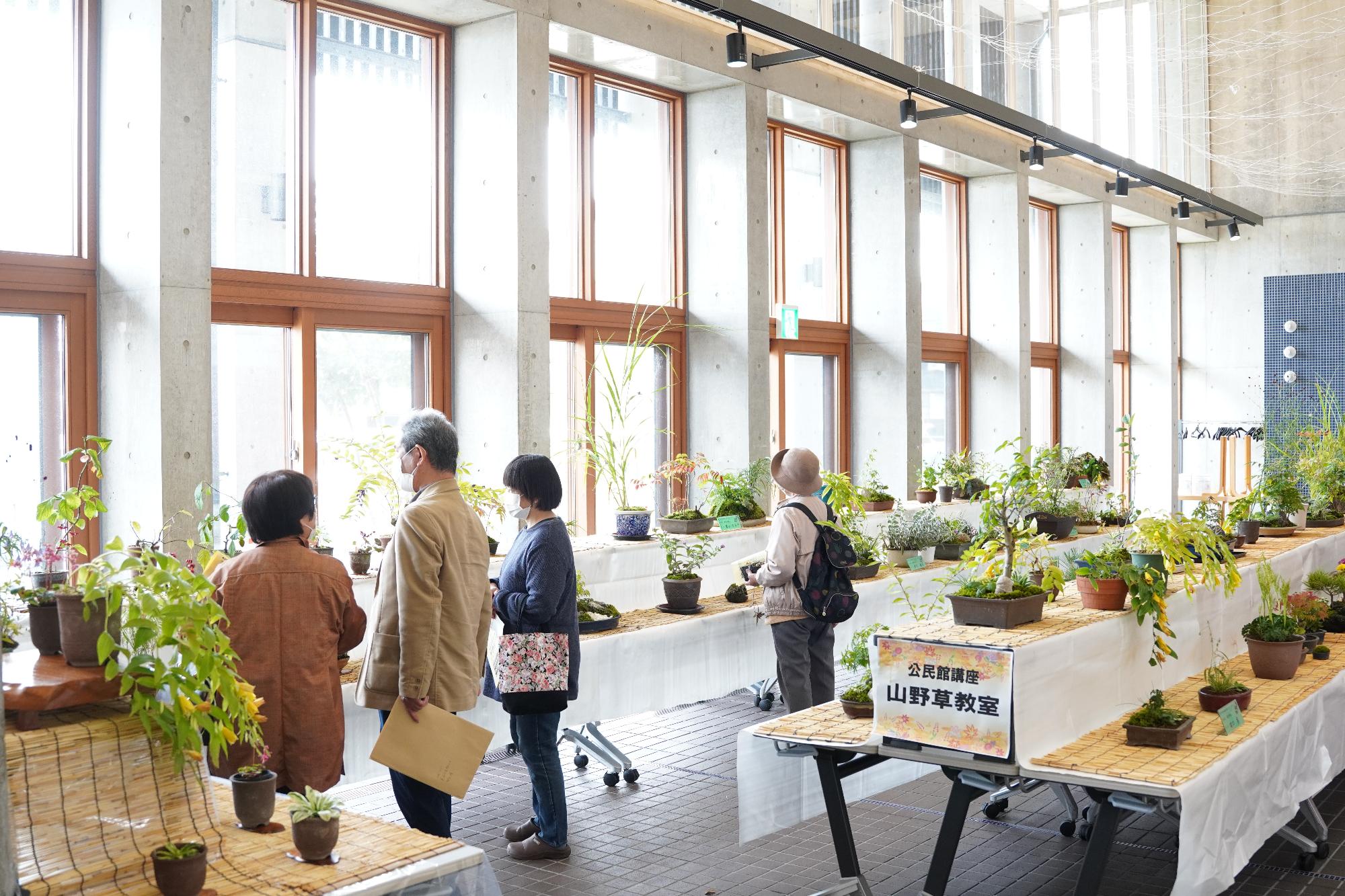 山野草教室作品