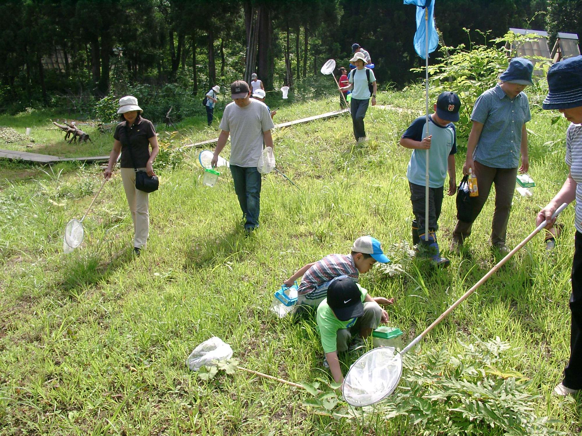 里山の生き物探検