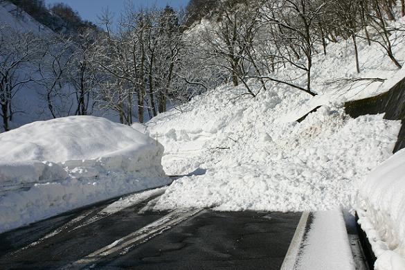 地震で山の斜面の雪が崩れて道路に溢れている写真