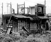 S36 第2室戸台風